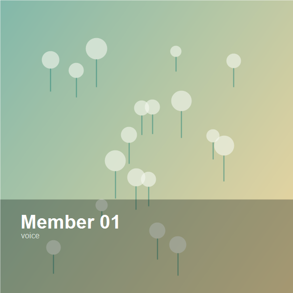 member voice from economics student