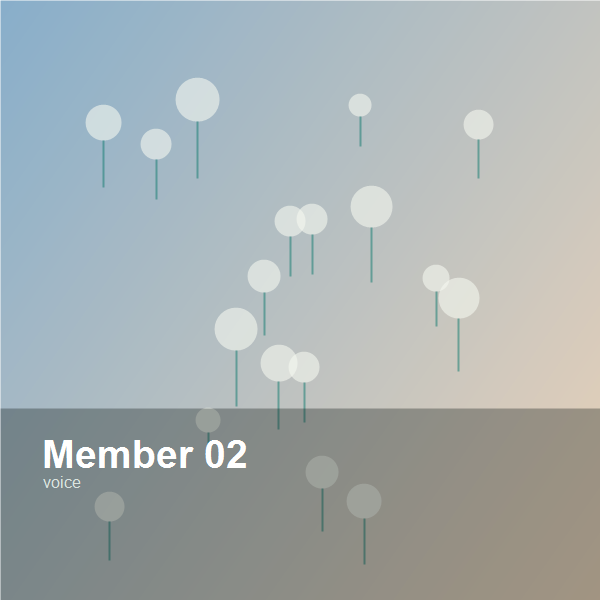 member voice from literature student